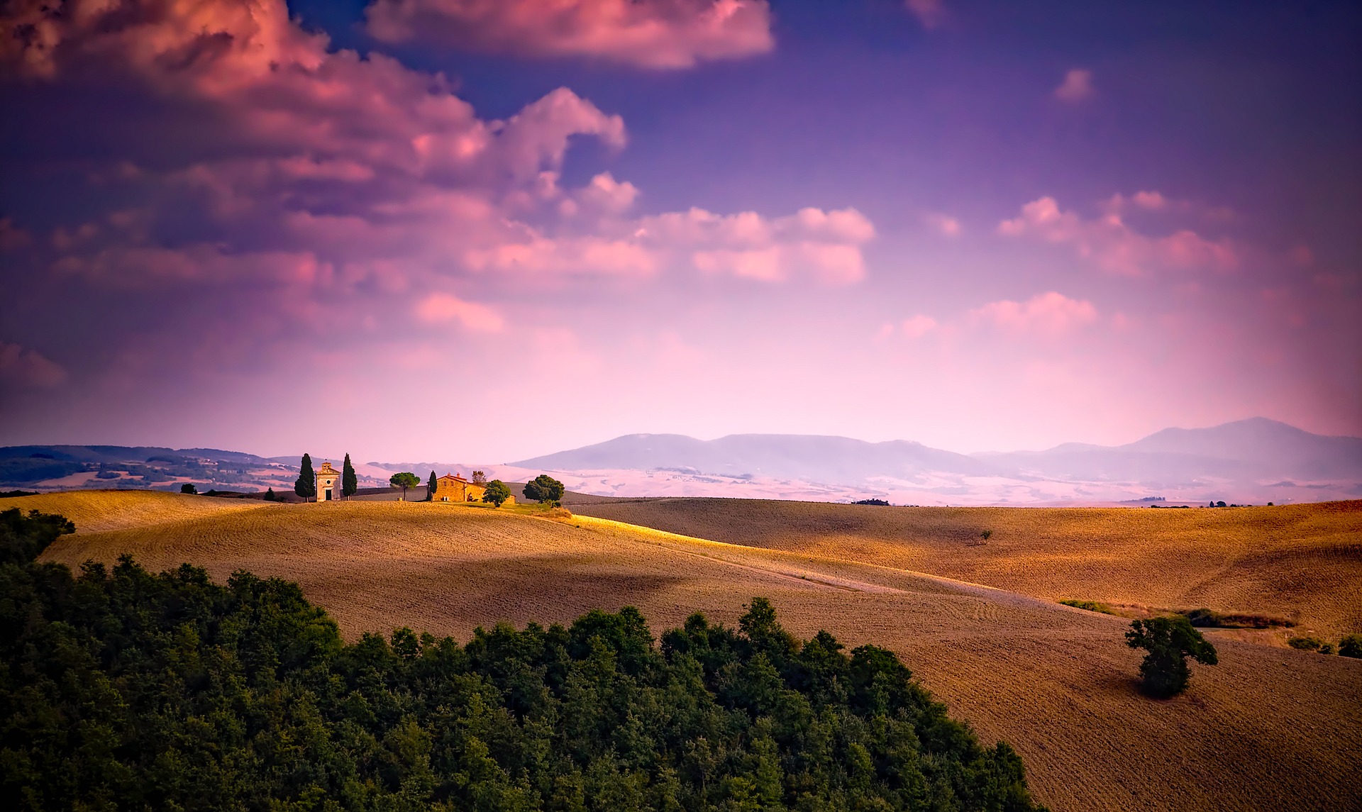 Field at sunset